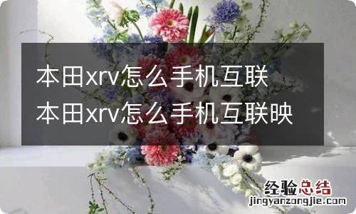 本田xrv怎么手机互联 本田xrv怎么手机互联映射