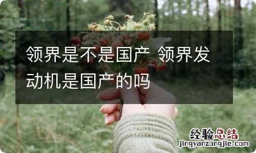 领界是不是国产 领界发动机是国产的吗