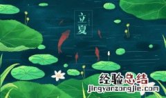 24节气立夏的由来 24节气立夏是什么意思