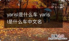 yarisl是什么车 yarisl是什么车中文名