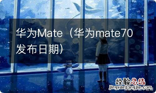 华为mate70发布日期 华为Mate