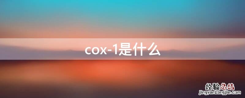 cox-1是什么 cox1是什么