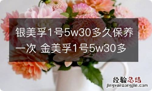 银美孚1号5w30多久保养一次 金美孚1号5w30多久保养一次