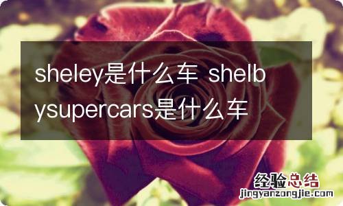 sheley是什么车 shelbysupercars是什么车