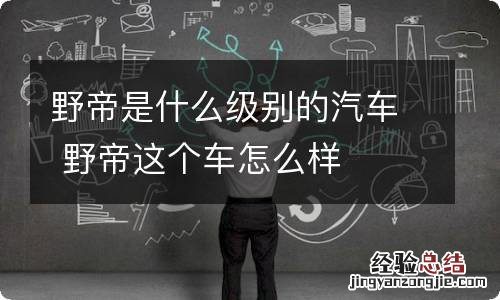 野帝是什么级别的汽车 野帝这个车怎么样