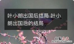 叶小朗出国后结局 叶小朗出国后的结局