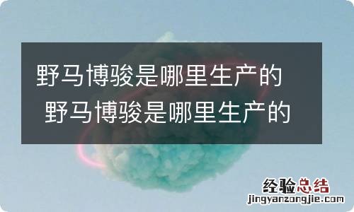 野马博骏是哪里生产的 野马博骏是哪里生产的车