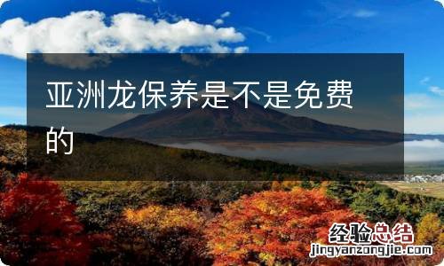 亚洲龙保养是不是免费的