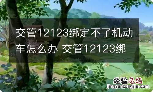 交管12123绑定不了机动车怎么办 交管12123绑不上机动车