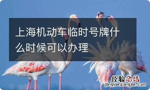 上海机动车临时号牌什么时候可以办理