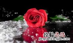 各种花都代表什么含义啊 各种花都代表什么含义啊英语