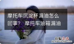 摩托车沉淀杯漏油怎么回事？ 摩托车油箱漏油怎么办