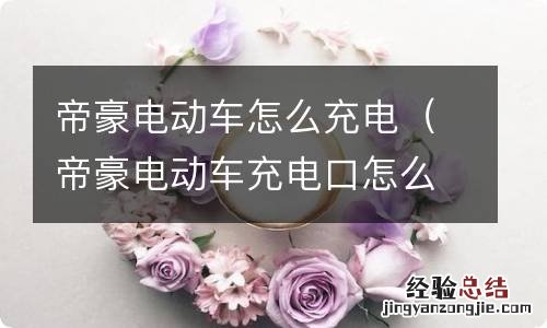 帝豪电动车充电口怎么打开 帝豪电动车怎么充电