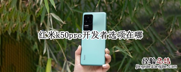 红米k50pro开发者选项在哪 红米k20pro怎么打开开发者选项