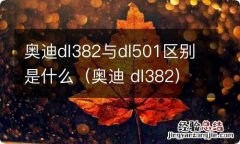 奥迪 dl382 奥迪dl382与dl501区别是什么