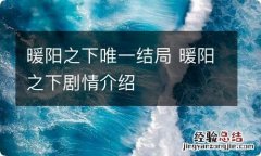 暖阳之下唯一结局 暖阳之下剧情介绍