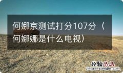 何娜娜是什么电视 何娜京测试打分107分