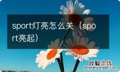 sport亮起 sport灯亮怎么关