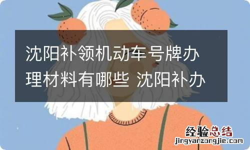 沈阳补领机动车号牌办理材料有哪些 沈阳补办牌照流程