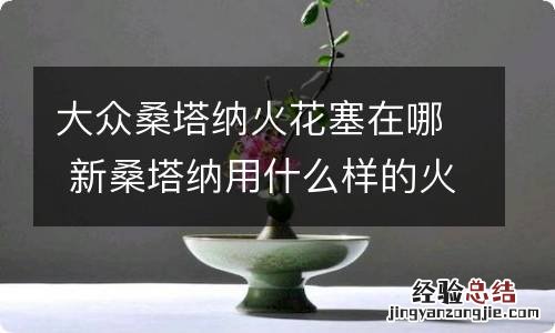 大众桑塔纳火花塞在哪 新桑塔纳用什么样的火花塞