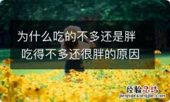 为什么吃的不多还是胖 吃得不多还很胖的原因