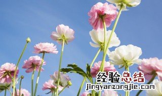 适合发说说的句子短句 适合发说说的句子唯美