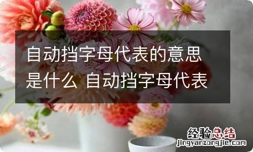 自动挡字母代表的意思是什么 自动挡字母代表的含义