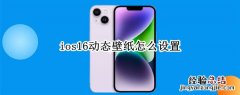 ios16动态壁纸怎么设置 苹果ios16动态壁纸怎么设置