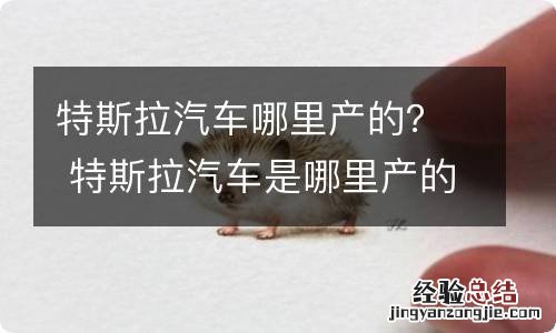 特斯拉汽车哪里产的？ 特斯拉汽车是哪里产的