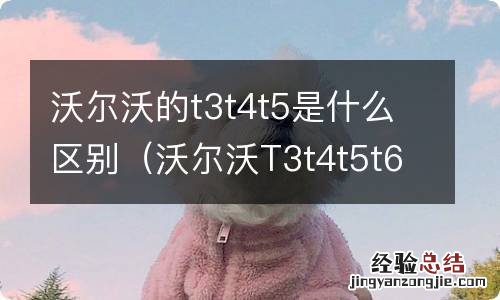 沃尔沃T3t4t5t6有什么区别 沃尔沃的t3t4t5是什么区别