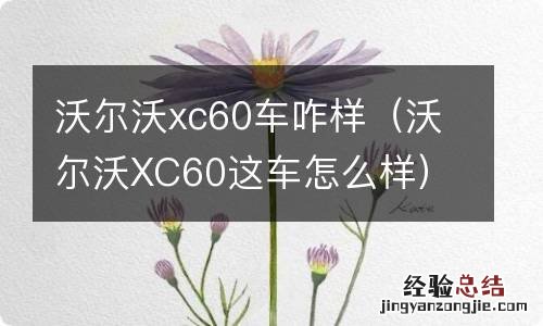 沃尔沃XC60这车怎么样 沃尔沃xc60车咋样