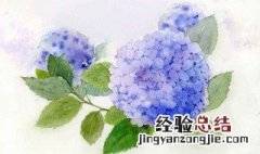 家里万万不要养这3种花