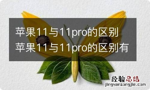 苹果11与11pro的区别 苹果11与11pro的区别有哪些