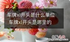 车牌xl开头是什么单位 车牌xl开头是哪里的