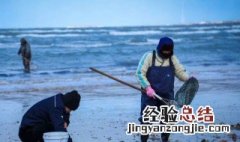 大潮和小潮赶海有什么不同 大潮和小潮赶海介绍