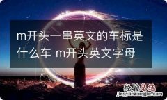 m开头一串英文的车标是什么车 m开头英文字母的车标