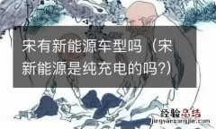 宋新能源是纯充电的吗? 宋有新能源车型吗