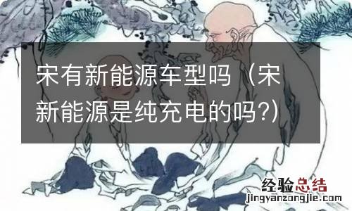 宋新能源是纯充电的吗? 宋有新能源车型吗