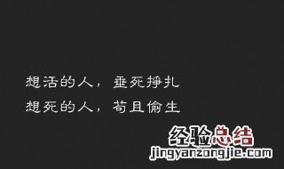 高冷又随性的句子 霸气高冷到爆的句子