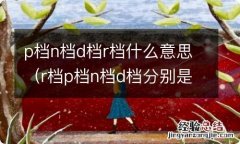 r档p档n档d档分别是什么缩写 p档n档d档r档什么意思