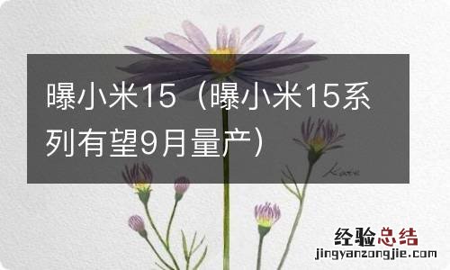 曝小米15系列有望9月量产 曝小米15