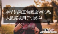 字节跳动豆包回应WPS私人数据被用于训练AI：失实