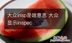 大众insp是啥意思 大众显示inspec