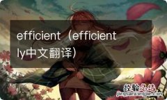 efficiently中文翻译 efficient