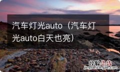 汽车灯光auto白天也亮 汽车灯光auto