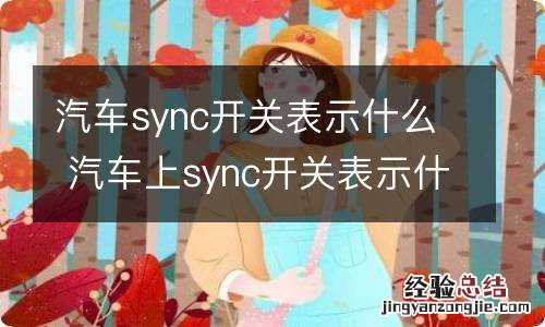 汽车sync开关表示什么 汽车上sync开关表示什么意思