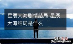 星辰大海剧情结局 星辰大海结局是什么