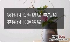 突围付长明结局 电视剧突围付长明结局