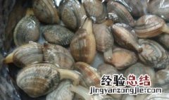 花甲死了但是全部开口了可以吃吗 花甲死了但是全部开口了可以吃吗