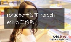 rorsche什么车 rorsche什么车价款